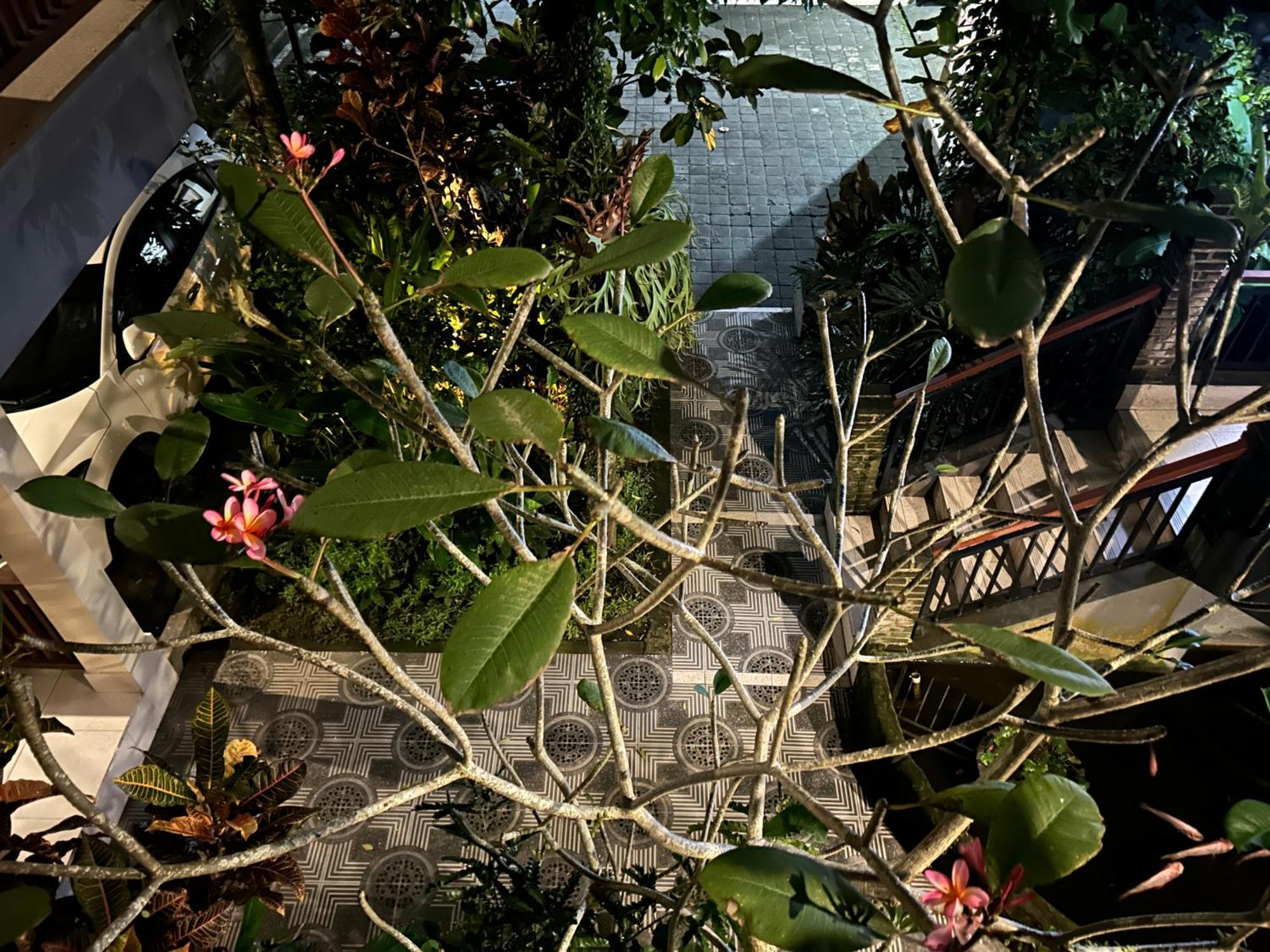 Balimas Guest House Ubud  Ngoại thất bức ảnh